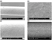 Figure 2 - SEM of 2mm diameter spring coil. (a) SEM of coil with no defects. Magn.:50x (b) SEM of coil with poor coverage showing wire drawing marks. Magn.:500x (c) SEM of coil with apparent good coverage using SE mode. Magn.:100x (d) SEM of same coil in (c) showing drawing marks revealed by BSE. Magn.:100x. Courtesy: Testmat.