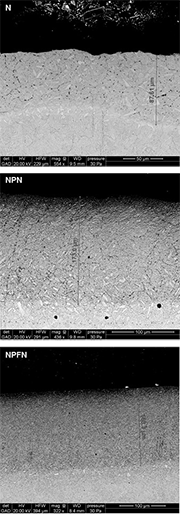 Figure 2: SEM observations in BSE mode (GAD) of N, NPN and NPFN samples in cross-section