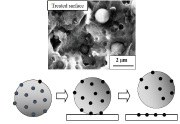 Fig. 6 Coating of functional particles with the hammer effect of UFS