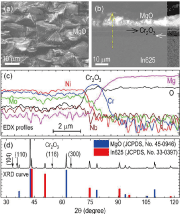 Fig.3: Hot corrosion-induced near-surface structural changes of the LC-produced In625 coating. (a) SEM image recorded on the surface, (b) SEM image recorded on the cross-section, (c) EDX profiles collected along the dashed line in (b), and (d) XRD curve and the standard patterns of MgO (45-0496) and In625 (33-0397)