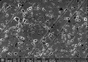 Figure 4. Scanning electron microscope (SEM) image of an electropolished cutting edge