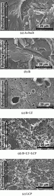 Fig. 4: Aspects of specimen observed by SEM